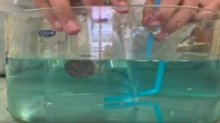 Un corcho que puede hundirse dentro de un vaso de agua con la ayuda de un tubo de plástico.