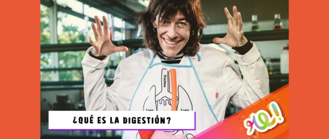 què és la digestió
